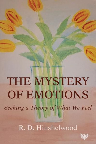 Produktbild: The Mystery of Emotions