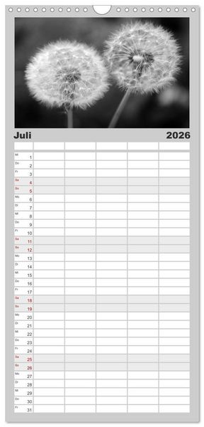 Produktbild: Familienplaner 2026 - Pusteblume - Impressionen in schwarzwei&szlig; mit 5 Spalten (Wandkalender, 21 x 45 cm) CALVENDO