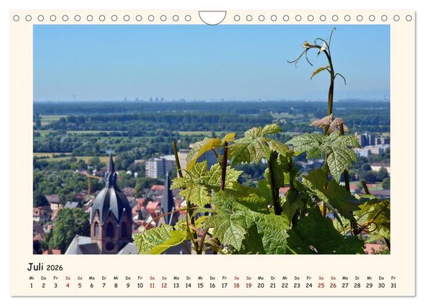 Produktbild: Weinlandschaft - Heppenheim an der Bergstra&szlig;e (Wandkalender 2026 DIN A4 quer), CALVENDO Monatskalender
