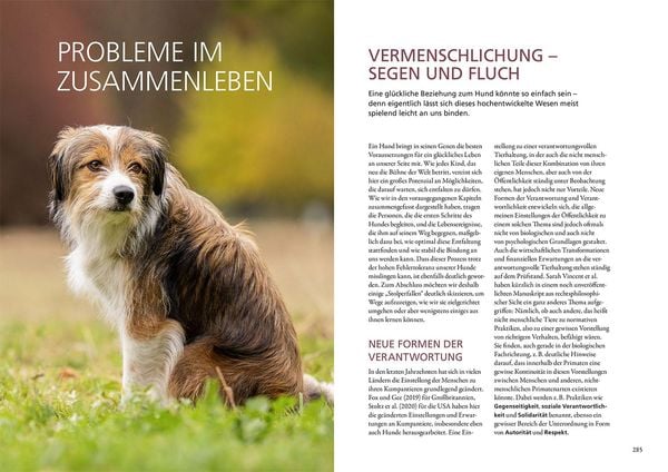 Produktbild: Beziehung, Erziehung, Bindung