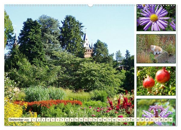 Produktbild: Im Hermannshof - Ein Traumgarten in Weinheim (hochwertiger Premium Wandkalender 2026 DIN A2 quer), Kunstdruck in Hochglanz