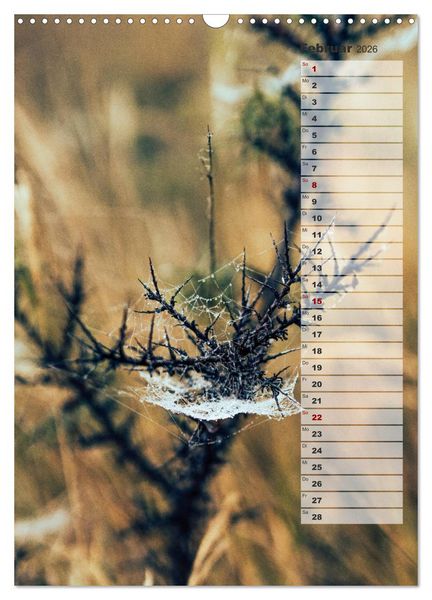 Produktbild: Kalender - Natur im Detail (Wandkalender 2026 DIN A3 hoch), CALVENDO Monatskalender