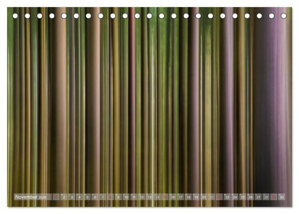Produktbild: Atelier Wald - gemalt mit Licht (Tischkalender 2026 DIN A5 quer), CALVENDO Monatskalender