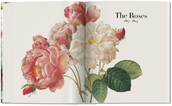 Produktbild: Redout&eacute;. The Book of Flowers