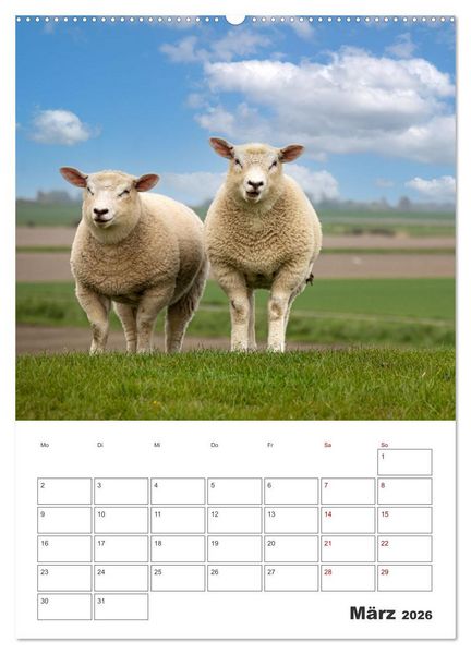 Produktbild: Sankt Peter-Ording Sonne, Strand und Meer (Wandkalender 2026 DIN A2 hoch), CALVENDO Monatskalender