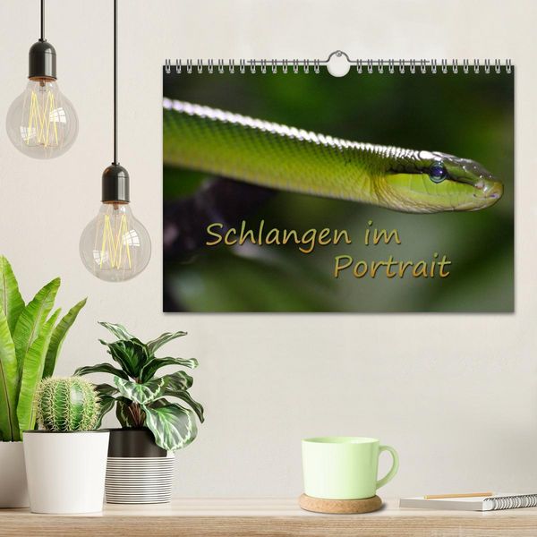 Produktbild: Schlangen im Portrait (Wandkalender 2026 DIN A4 quer), CALVENDO Monatskalender