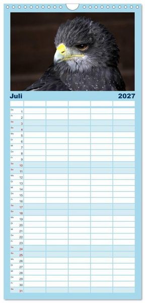 Produktbild: Familienplaner 2027 - Greifv&ouml;gel, Eulen und K&auml;uze mit 5 Spalten (Wandkalender, 21 x 45 cm) CALVENDO