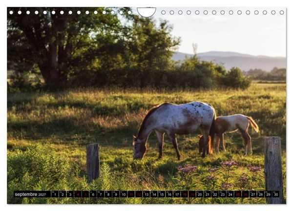 Produktbild: Paysages du Qu&eacute;bec (Calendrier mural 2027 DIN A4 vertical), CALVENDO calendrier mensuel