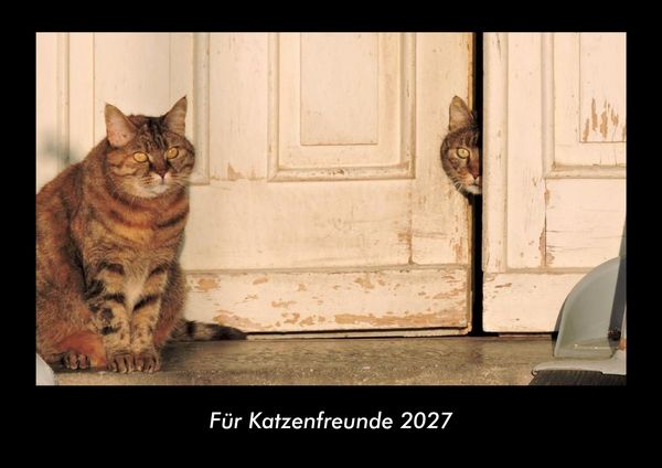 Für Katzenfreunde 2027 Fotokalender DIN A3