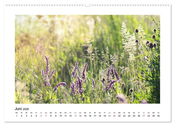 Produktbild: Mein Sehnsuchtsort, die Blumenwiese (Wandkalender 2026 DIN A2 quer), CALVENDO Monatskalender