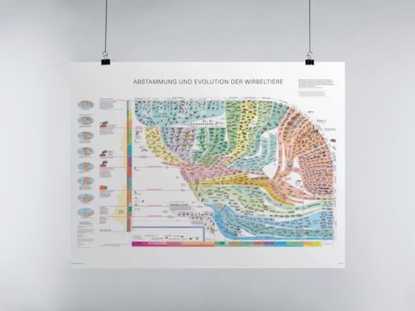 Produktbild: Wirbeltieratlas (Poster)