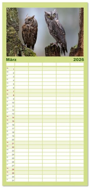 Produktbild: Familienplaner 2026 - Eulen - Fl&uuml;gel der Nacht mit 5 Spalten (Wandkalender, 21 x 45 cm) CALVENDO