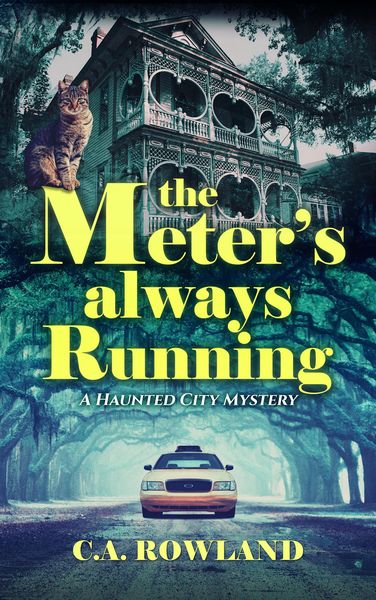 Produktbild: The Meter's Always Running (Haunted City Mystery Series, #1)