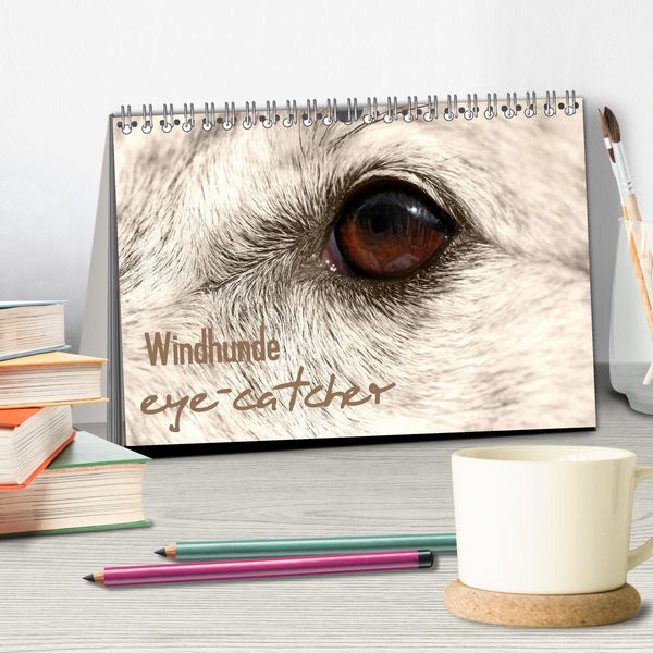Produktbild: Windhunde eye-catcher (Tischkalender 2026 DIN A5 quer), CALVENDO Monatskalender
