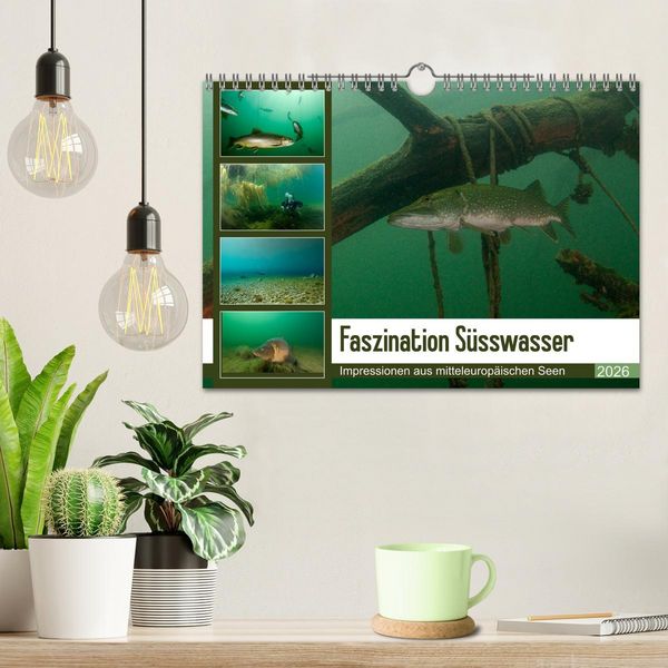 Produktbild: Faszination S&uuml;sswasser (Wandkalender 2026 DIN A4 quer), CALVENDO Monatskalender