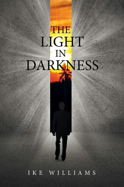 Produktbild: The Light in Darkness