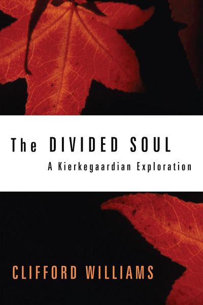 Produktbild: The Divided Soul