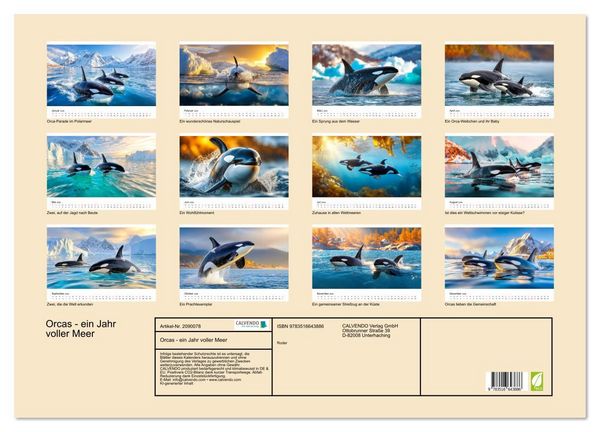 Produktbild: Orcas - ein Jahr voller Meer (Wandkalender 2026 DIN A2 quer), CALVENDO Monatskalender