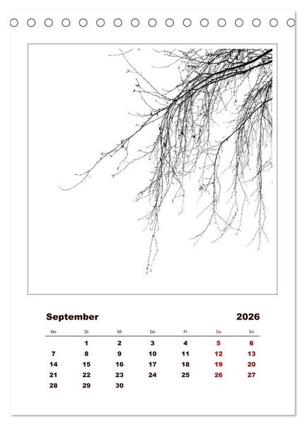 Produktbild: LignoGrafica - Muster und Strukturen der B&auml;ume (Tischkalender 2026 DIN A5 hoch), CALVENDO Monatskalender