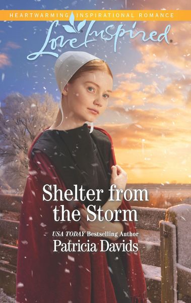 Produktbild: Shelter from the Storm