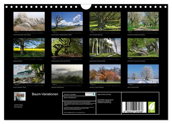 Produktbild: Baum-Variationen (Wandkalender 2026 DIN A4 quer), CALVENDO Monatskalender