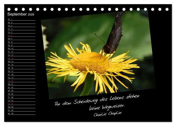 Produktbild: Gelbe Lebensfreude (Tischkalender 2026 DIN A5 quer), CALVENDO Monatskalender