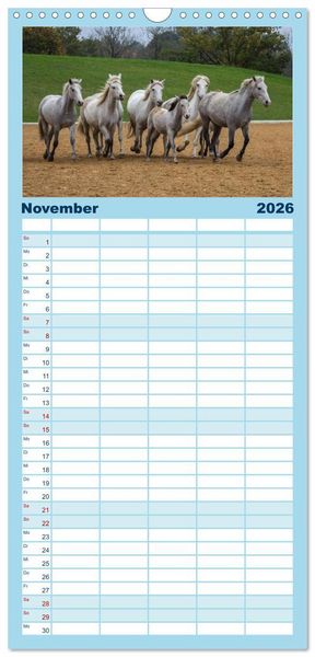 Produktbild: Familienplaner 2026 - Wei&szlig;e Pferde der Camargue in Bayern mit 5 Spalten (Wandkalender, 21 x 45 cm) CALVENDO