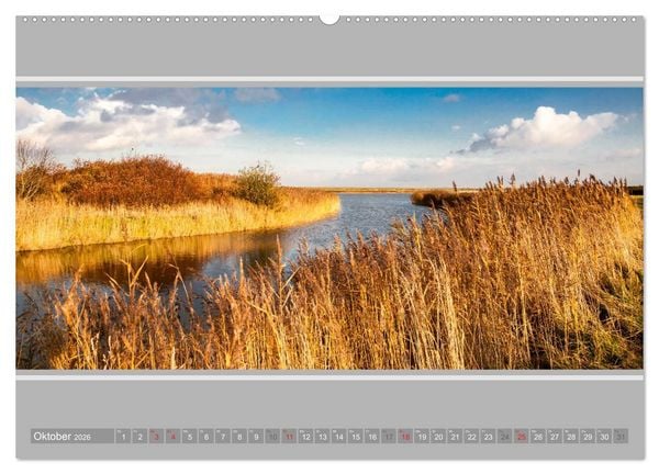 Produktbild: Ostfriesland - Deichspaziergang (hochwertiger Premium Wandkalender 2026 DIN A2 quer), Kunstdruck in Hochglanz