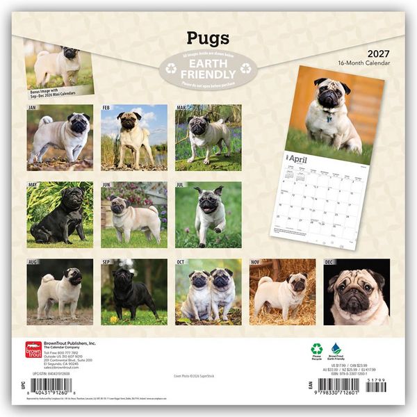 Produktbild: Pugs &ndash; Mops 2027 &ndash; 16-Monatskalender