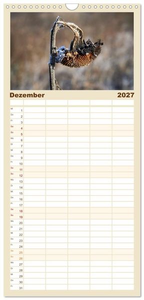 Produktbild: Familienplaner 2027 - Verbl&uuml;hte Sch&ouml;nheiten mit 5 Spalten (Wandkalender, 21 x 45 cm) CALVENDO
