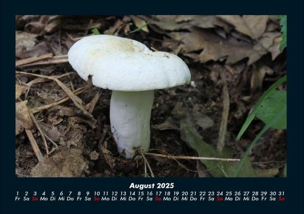 Produktbild: Pilzkalender 2025 Fotokalender DIN A4