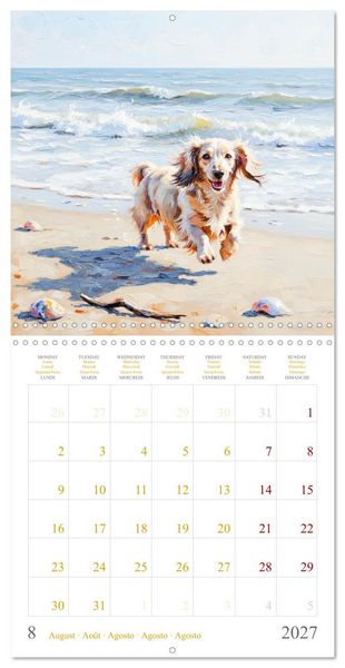 Produktbild: Dachshund Happiness (Wall Calendar 2027 12 &times; 12 Inch) CALVENDO 12 Month Wall Calendar