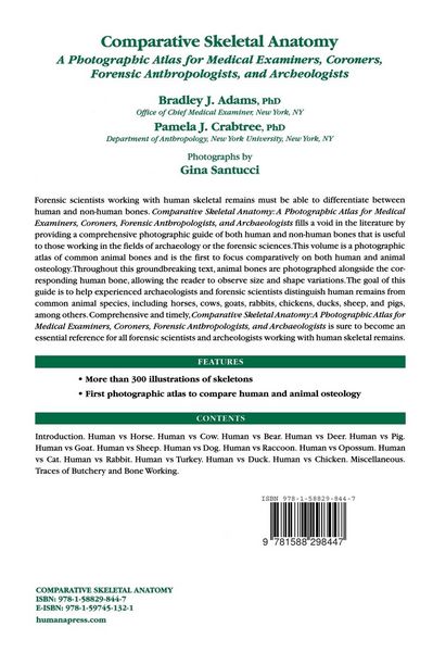 Produktbild: Comparative Skeletal Anatomy
