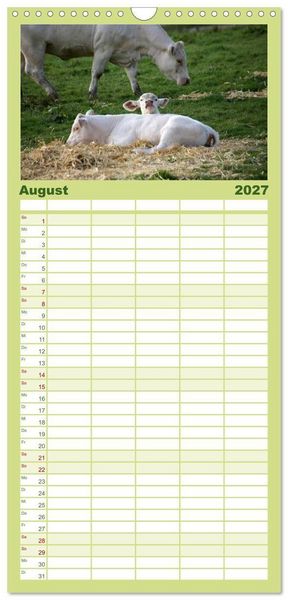 Produktbild: Familienplaner 2027 - Muuuhhh! mit 5 Spalten (Wandkalender, 21 x 45 cm) CALVENDO