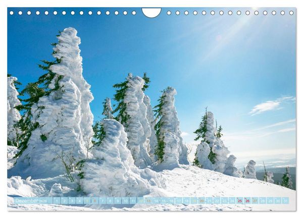 Produktbild: Arber, Rachel und Lusen: Der Hintere Bayerische Wald (Wandkalender 2026 DIN A4 quer), CALVENDO Monatskalender