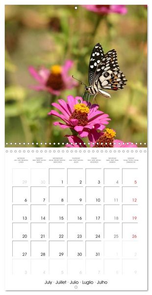 Produktbild: People's Democratic Republic - Laos (Wall Calendar 2026 12 &times; 12 Inch) CALVENDO 12 Month Wall Calendar