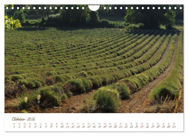 Produktbild: Provence, Frankreich (Wandkalender 2026 DIN A4 quer), CALVENDO Monatskalender