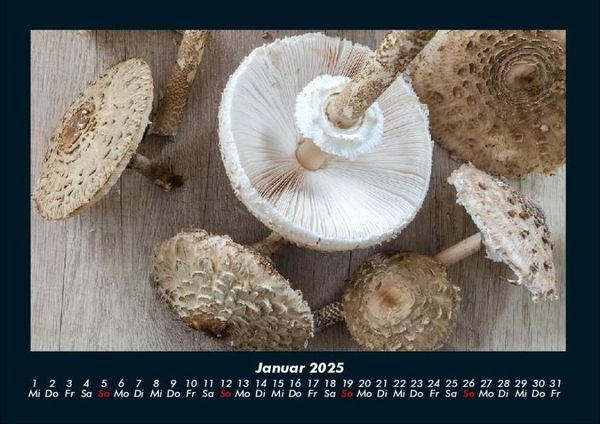 Produktbild: Pilzkalender 2025 Fotokalender DIN A4