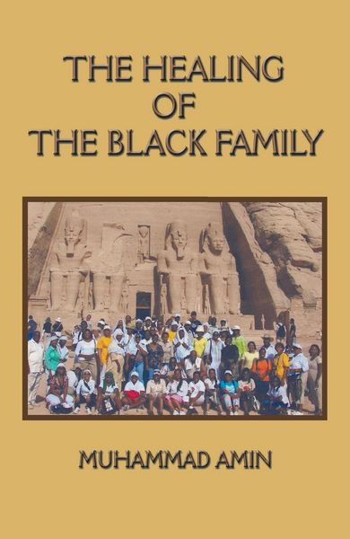 Produktbild: The Healing of the Black Family