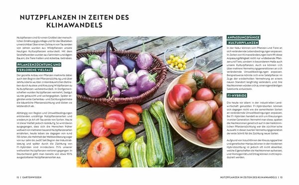 Produktbild: Gartenmomente: Naturnaher Garten