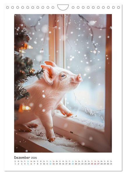Produktbild: Schwein gehabt (Wandkalender 2026 DIN A4 hoch), CALVENDO Monatskalender