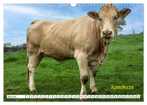 Produktbild: Aussterbende Rassen und Rarit&auml;ten (Wandkalender 2026 DIN A3 quer), CALVENDO Monatskalender