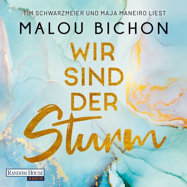 Produktbild: Wir sind der Sturm