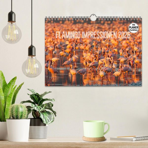 Produktbild: Flamingo Impressionen 2026 (Wandkalender 2026 DIN A4 quer), CALVENDO Monatskalender