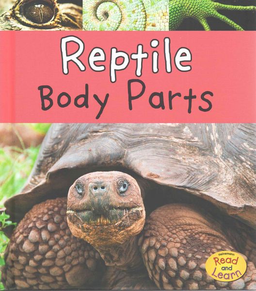 Produktbild: Reptile Body Parts
