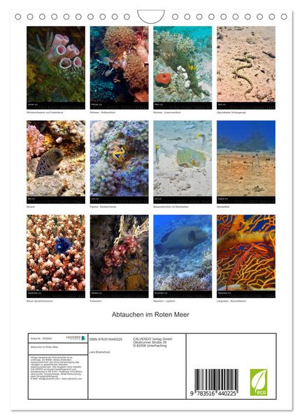 Produktbild: Abtauchen im Roten Meer (Wandkalender 2026 DIN A4 hoch), CALVENDO Monatskalender