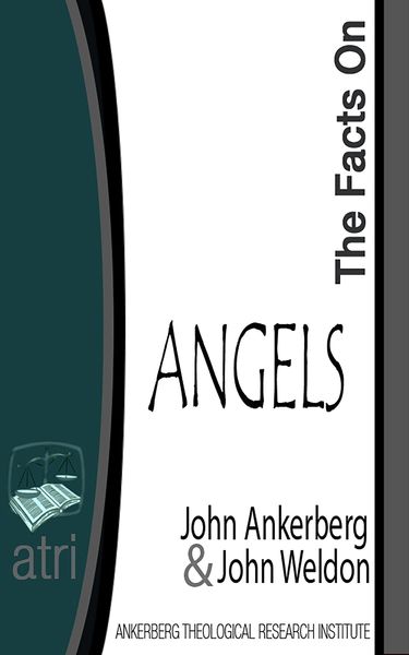 Produktbild: The Facts on Angels
