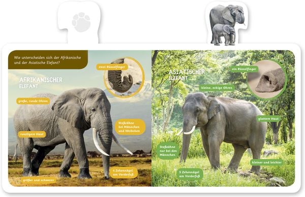 Produktbild: Der Elefant
