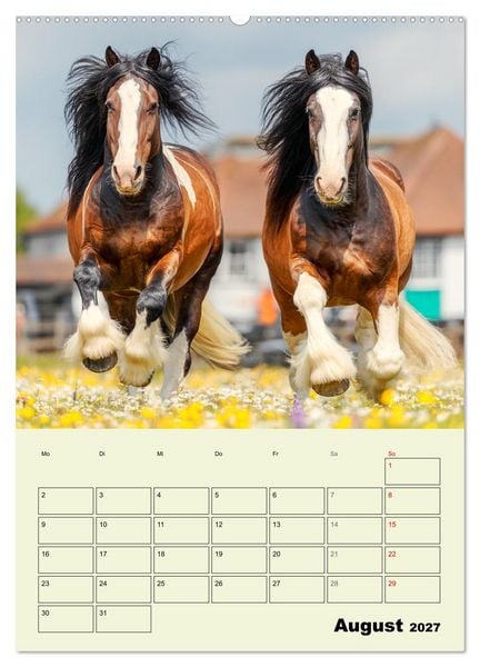 Produktbild: Shire Horse Magie. Englands sanfte Giganten (hochwertiger Premium Wandkalender 2027 DIN A2 hoch), Kunstdruck in Hochglanz