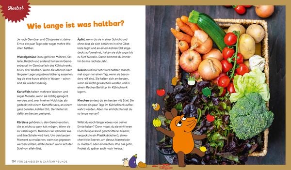 Produktbild: Drinnen & drau&szlig;en mit der Maus